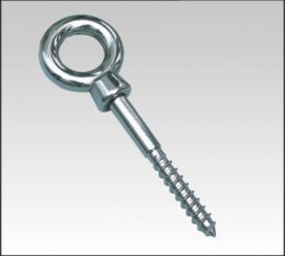 SS Eye Wood Lag Screw